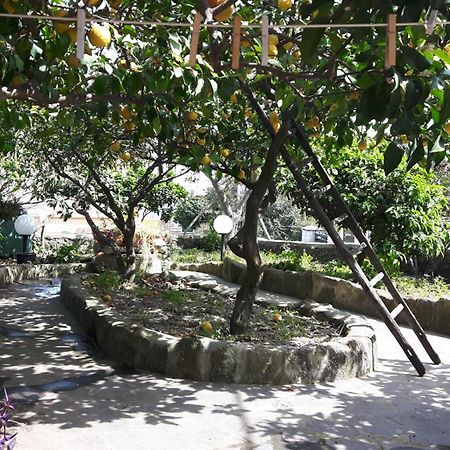 Lacco Ameno  Holiday Apartments מראה חיצוני תמונה