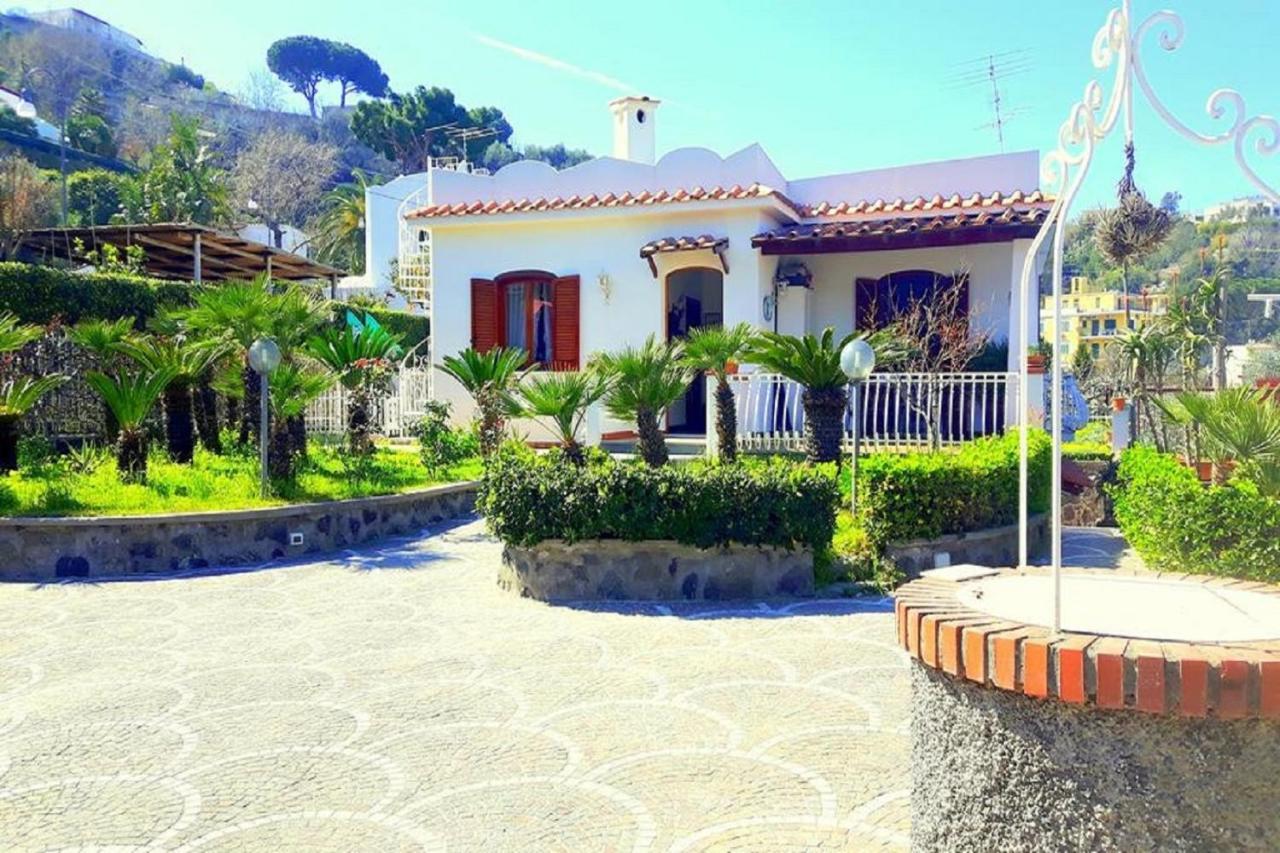 Lacco Ameno  Holiday Apartments חדר תמונה