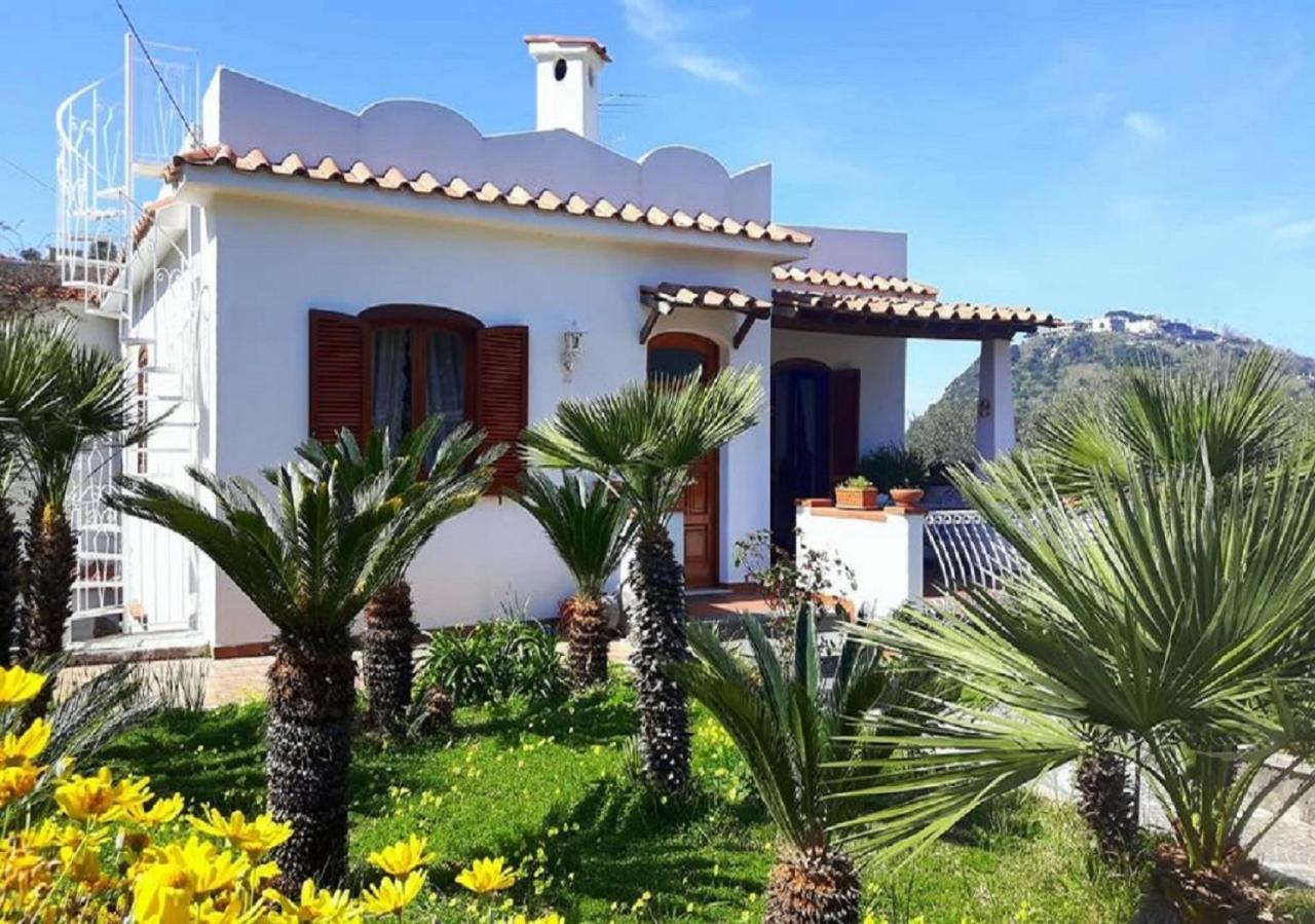 Lacco Ameno  Holiday Apartments חדר תמונה