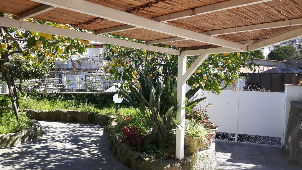Lacco Ameno  Holiday Apartments מראה חיצוני תמונה